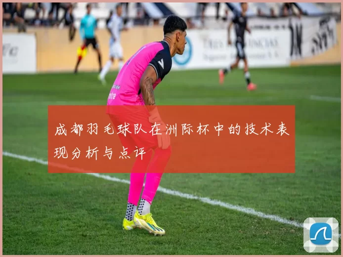 成都羽毛球队在洲际杯中的技术表现分析与点评