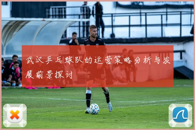 武汉乒乓球队的运营策略分析与发展前景探讨