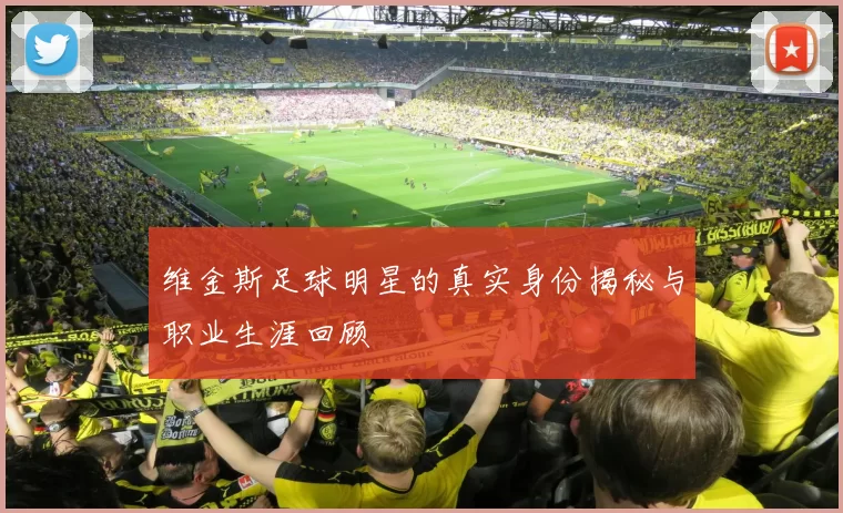 维金斯足球明星的真实身份揭秘与职业生涯回顾