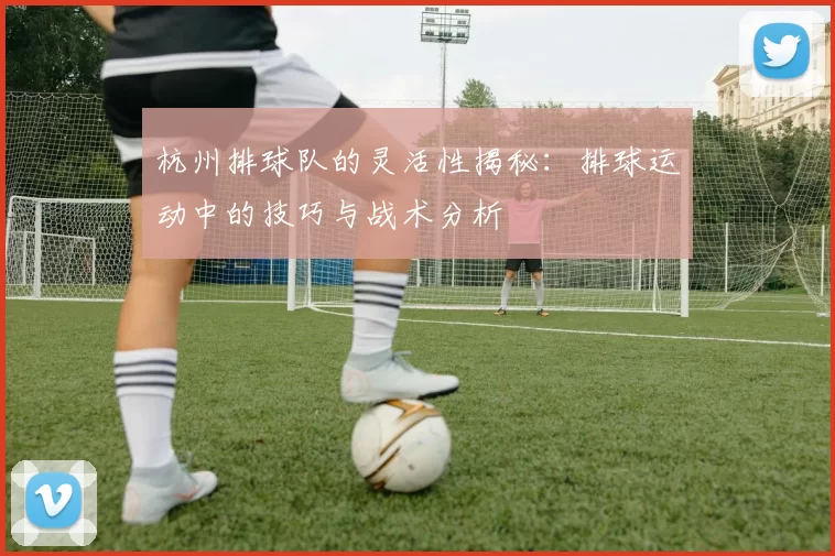 杭州排球队的灵活性揭秘：排球运动中的技巧与战术分析