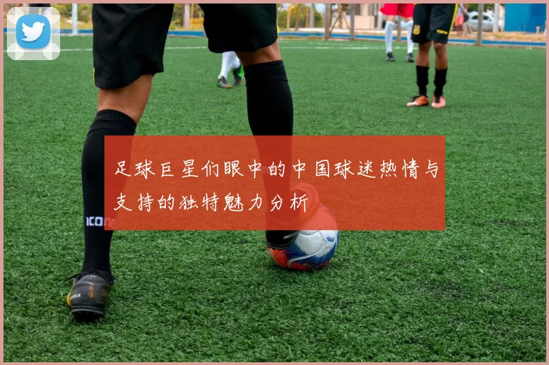 足球巨星们眼中的中国球迷热情与支持的独特魅力分析
