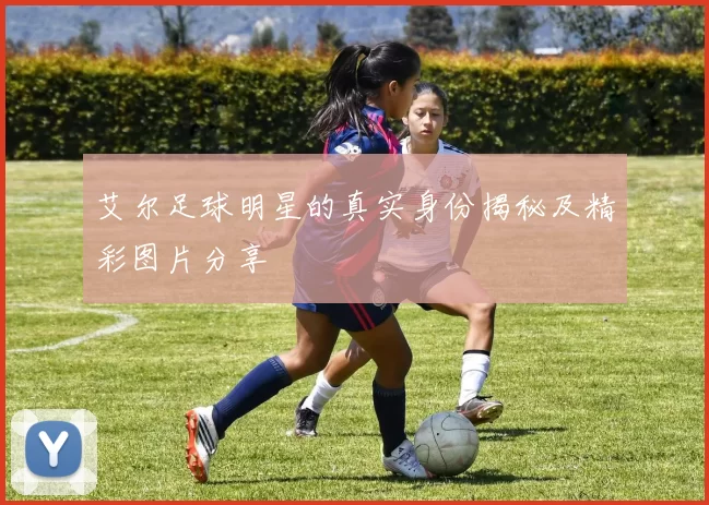 艾尔足球明星的真实身份揭秘及精彩图片分享