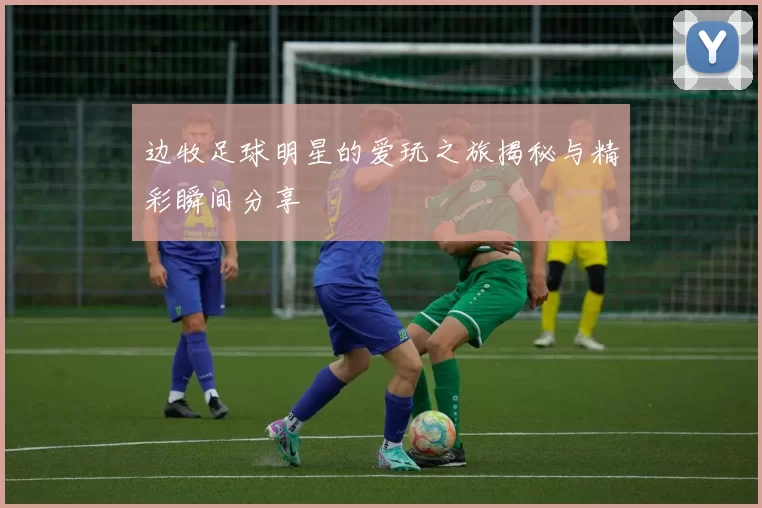 边牧足球明星的爱玩之旅揭秘与精彩瞬间分享