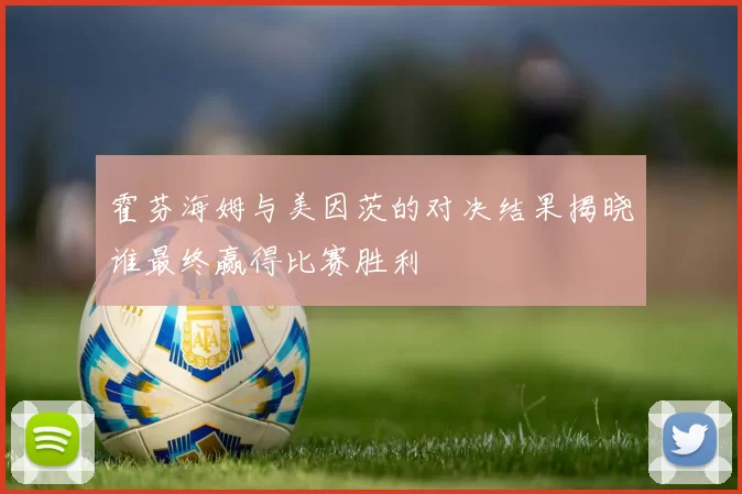霍芬海姆与美因茨的对决结果揭晓谁最终赢得比赛胜利