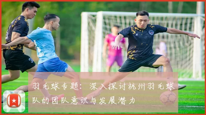 羽毛球专题：深入探讨杭州羽毛球队的团队意识与发展潜力