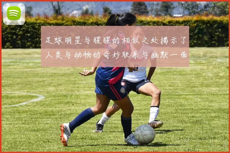 足球明星与猩猩的相似之处揭示了人类与动物的奇妙联系与幽默一面