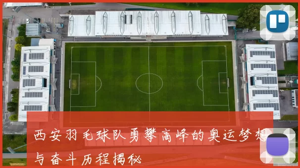 西安羽毛球队勇攀高峰的奥运梦想与奋斗历程揭秘