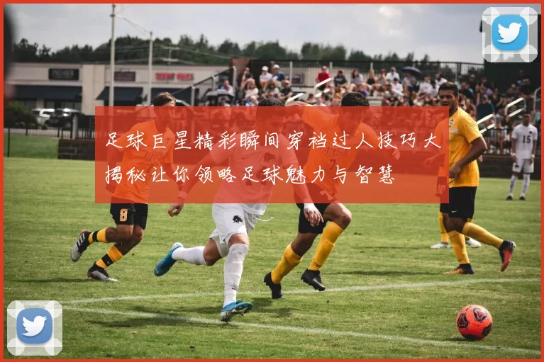 足球巨星精彩瞬间穿裆过人技巧大揭秘让你领略足球魅力与智慧