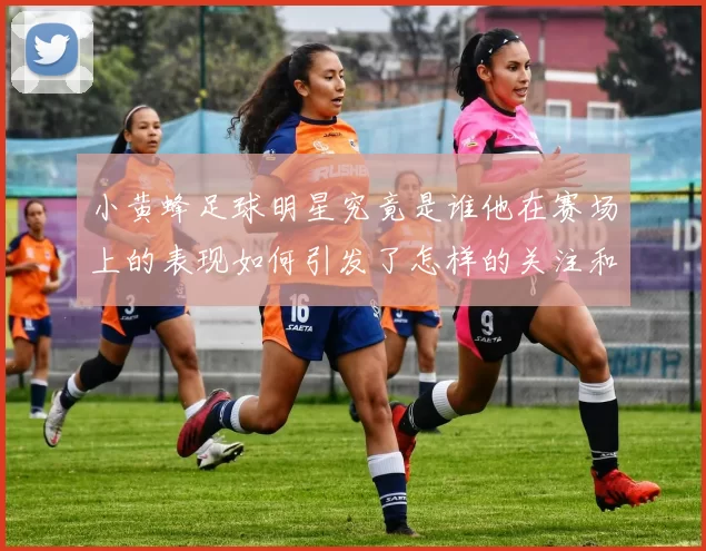 小黄蜂足球明星究竟是谁他在赛场上的表现如何引发了怎样的关注和热议